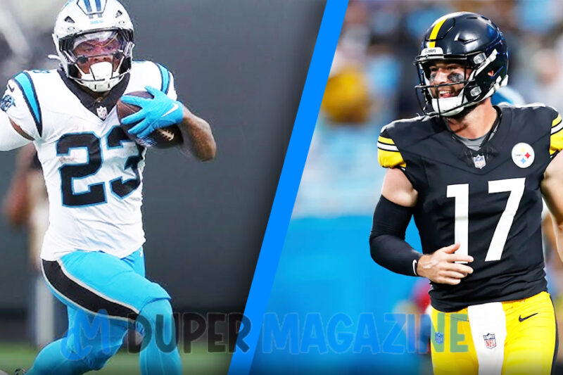 Pittsburgh Steelers vs Carolina Panthers Match Player Stats: Key Performances Explained