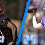 Atlanta Falcons vs Minnesota Vikings Match Player Stats